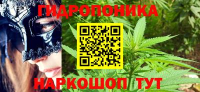 Альфа ПВП Будённовск