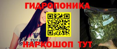Альфа ПВП Будённовск