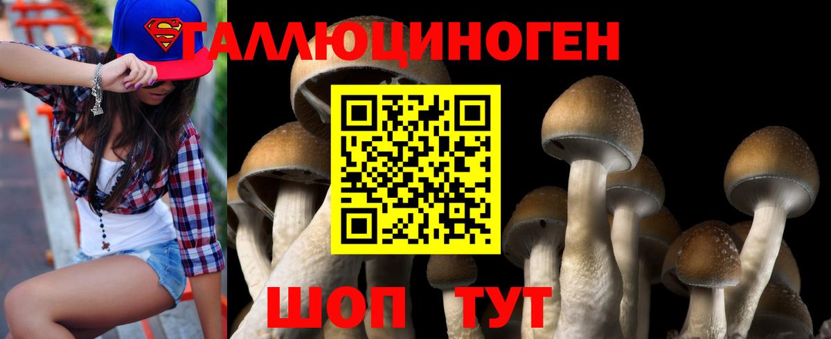 Галлюциногенные грибы Cubensis  где купить наркоту  Чайковский  Вход с VPN  Галлюциногенные грибы Magic Shrooms 